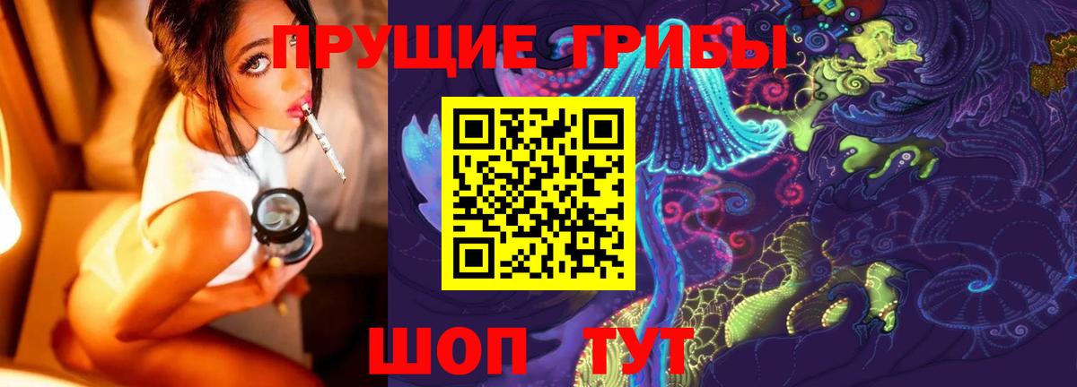 Псилоцибиновые грибы Psilocybe  Бирск 