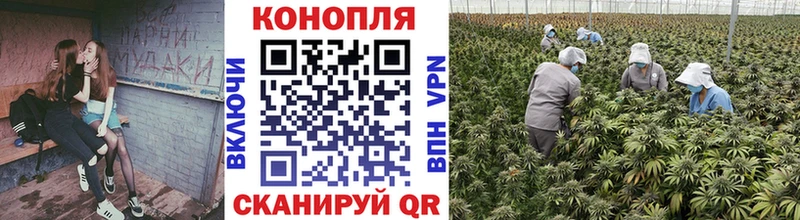 Бошки Шишки ГИДРОПОН  Бирск 